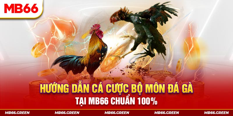 lucky ball xổ số bình định
