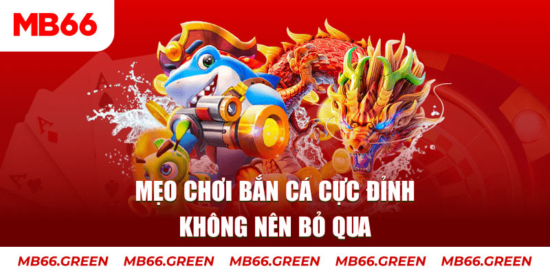 lucky ball casino ở đâu