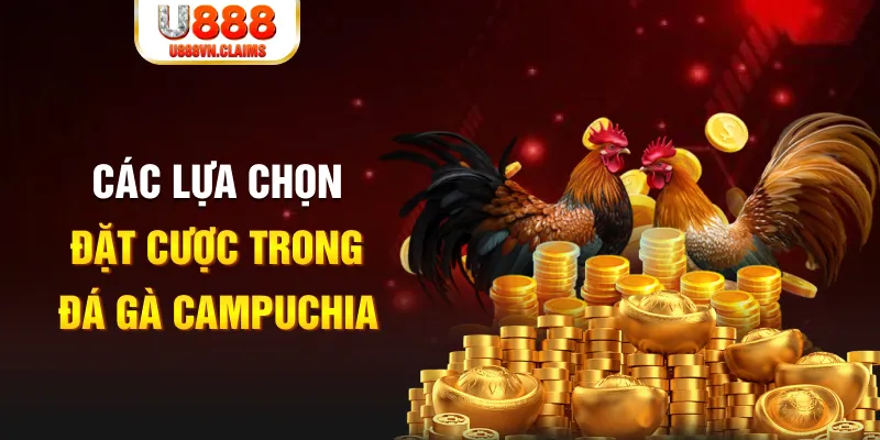 lucky ball SW Xổ Số