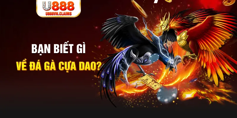 lucky ball xổ số kiến thiết