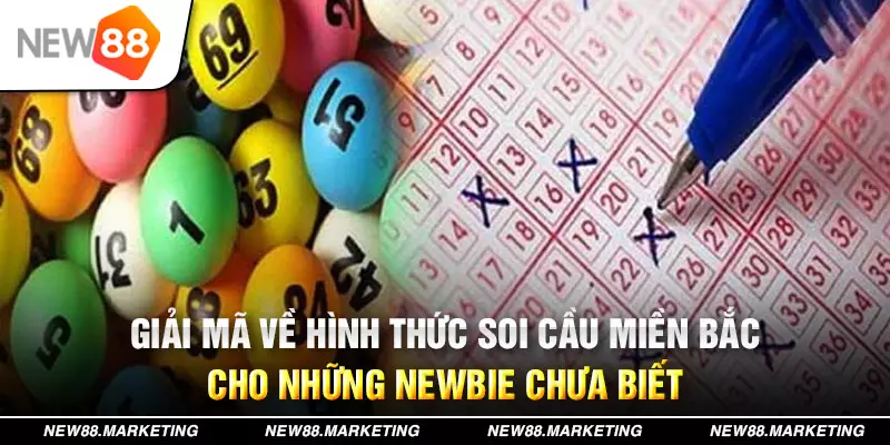 lucky ball đăng nhập mậu binh live