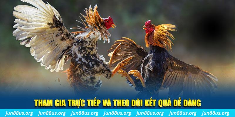 lucky ball đá gà trực tiếp bình luận viên