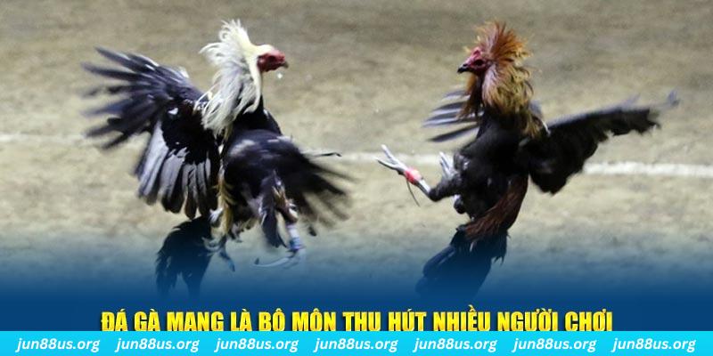 lucky ball xổ số cà mau