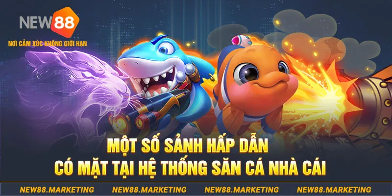 lucky ball đăng nhập sòng bạc 2025