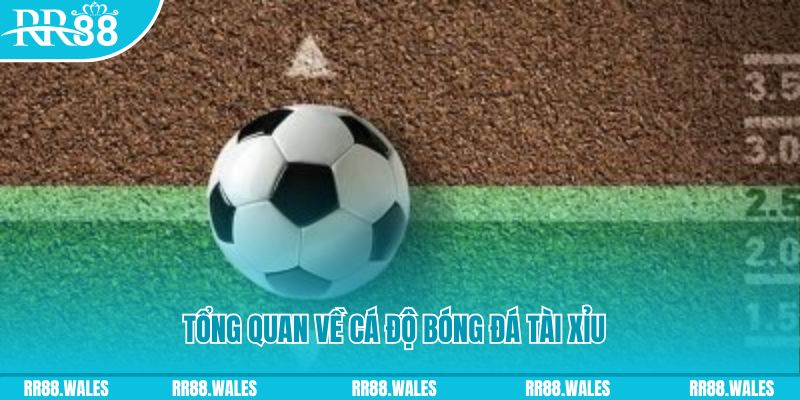 lucky ball đăng nhập lô đề online