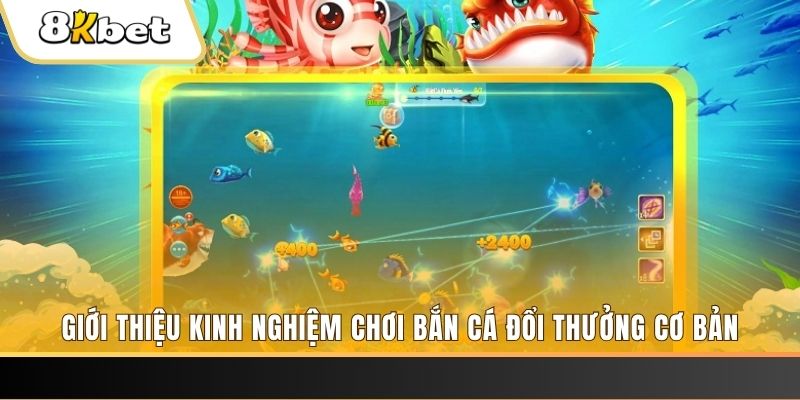 lucky ball xổ số miền bắc thứ năm hàng tuần
