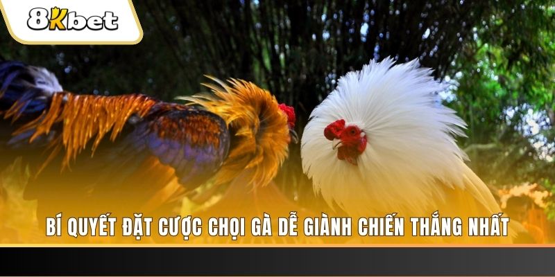 lucky ball Tài Xỉu 2