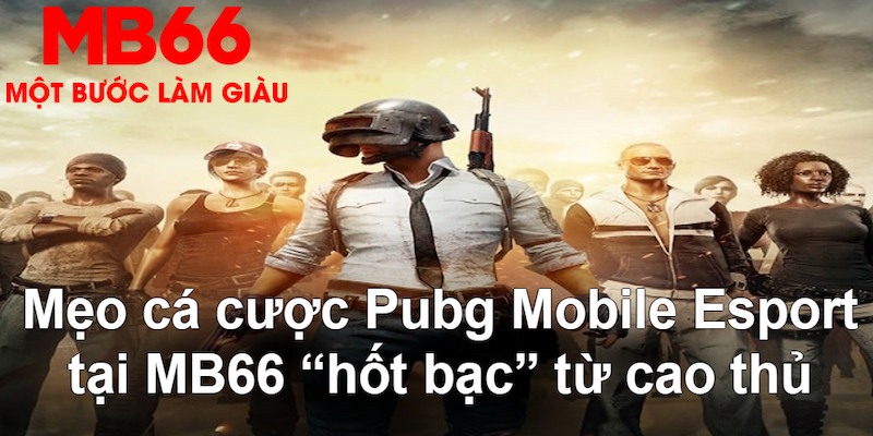 lucky ball gà chọi mộc hóa