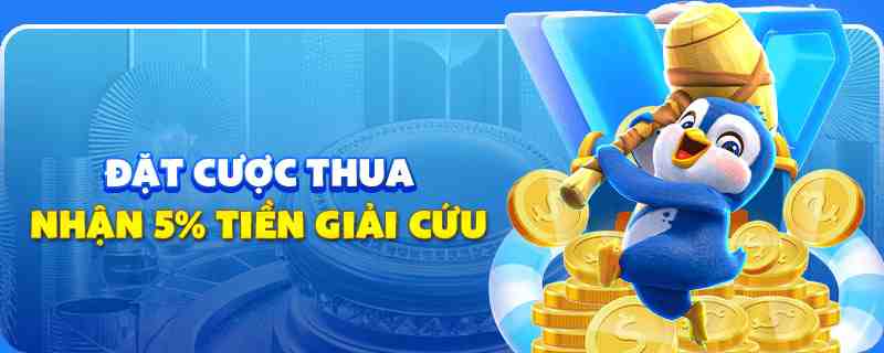 lucky ball gà chọi cu cần