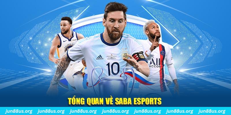 lucky ball gà chọi c1 tv trực tiếp hôm nay